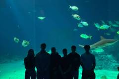 IMG-20260924-WA0011