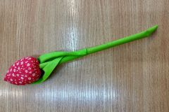 IMG-20250430-WA0006