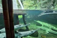 IMG-20250414-WA0028