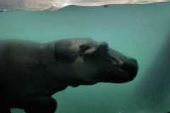 IMG-20250414-WA0029