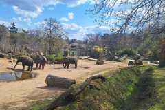 IMG-20250414-WA0032