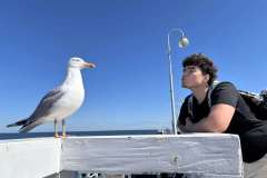 afe27f44008782ee37ebd32afbff5ebe