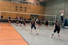 IMG-20250228-WA0018