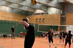 IMG-20250228-WA0031