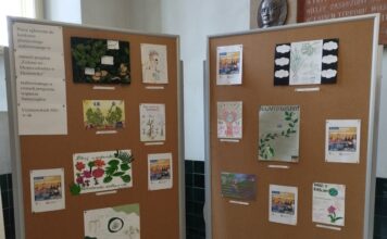 Wyniki konkursu plastycznego realizowanego w ramach projektu SUWAK
