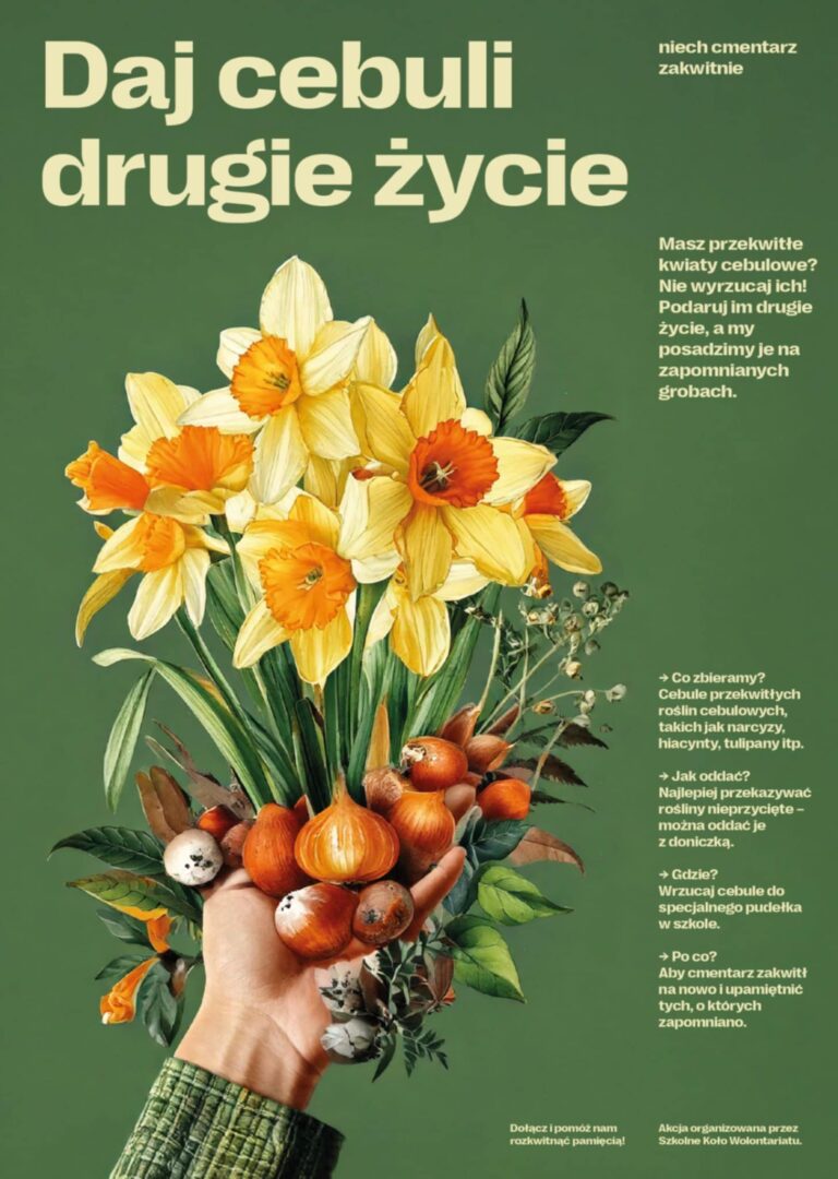 Dajmy drugie życie cebulom